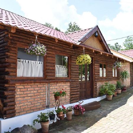 Panorama Lomnica Bed and Breakfast Despotovac Buitenkant foto