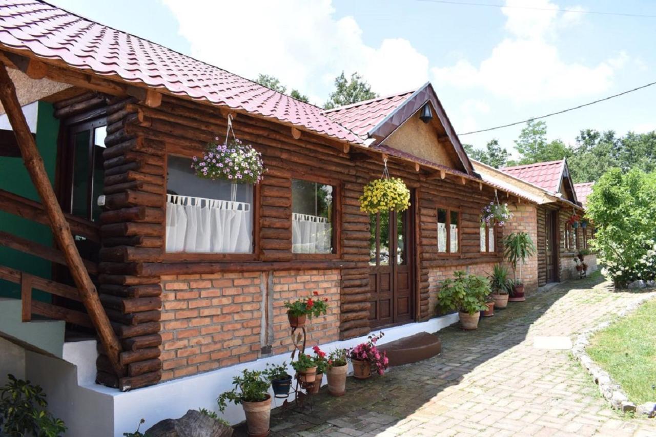 Panorama Lomnica Bed and Breakfast Despotovac Buitenkant foto